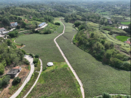 新农人赵旭东：传统工艺酿新业 农旅融合助民富