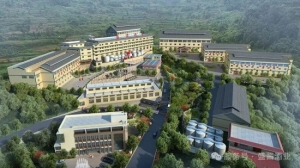 盛酱酒业参评酿酒质量大赛 盛酱酒·天时和盛酱酒·精品双获大金奖