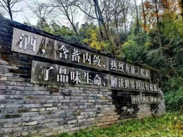 酿酒质量大赛获奖产品企业推荐：源窝子酒天台山下的林藏老酒