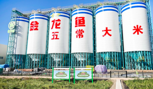 “鲜”行一步 “责”担全程  金龙鱼6步鲜大米赋能循环经济模式