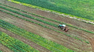 2026年中央一号文件来了！要点速览→